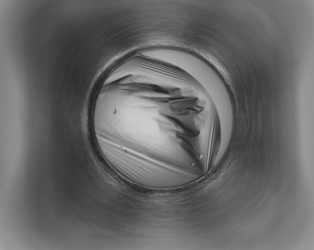 X0000111460391200908031344