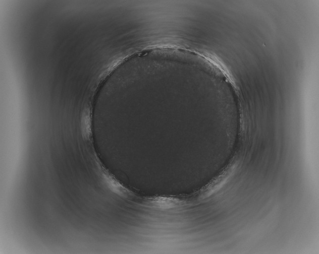 X0000111460393200908031344