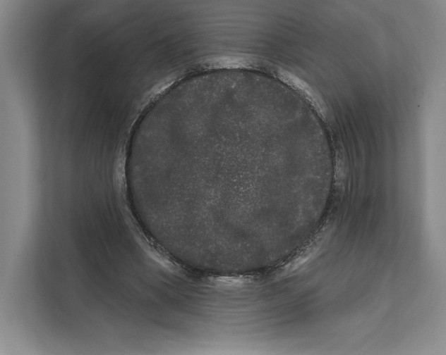 X0000111460394200908031344