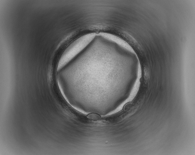 X0000111460396200908031344