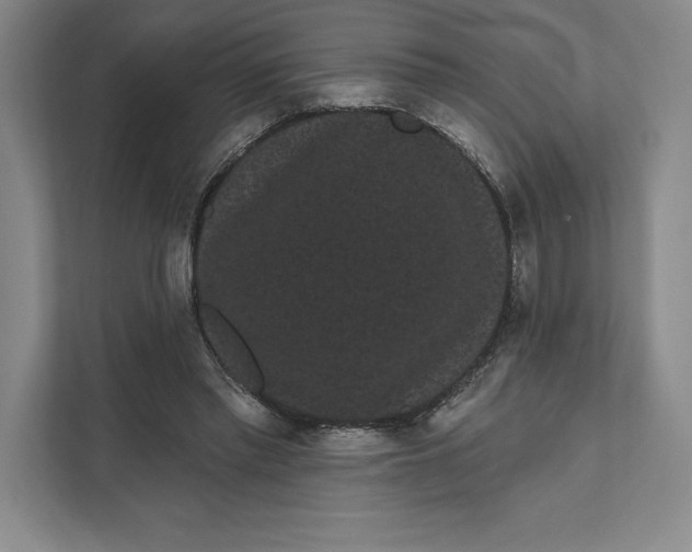 X0000111460397200908031344