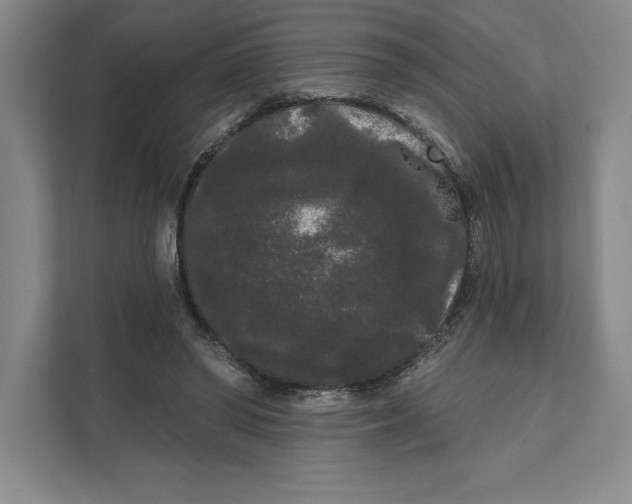 X0000111460398200908031344