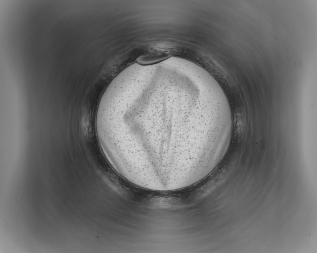 X0000111460408200908031344