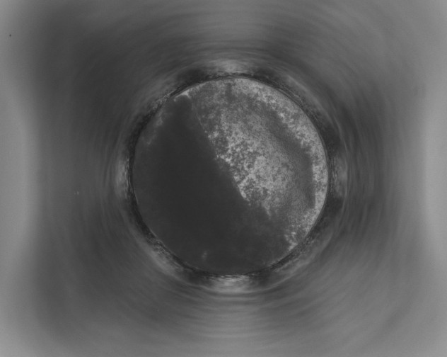X0000111460410200908031344