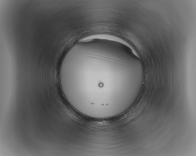X0000111460411200908031344