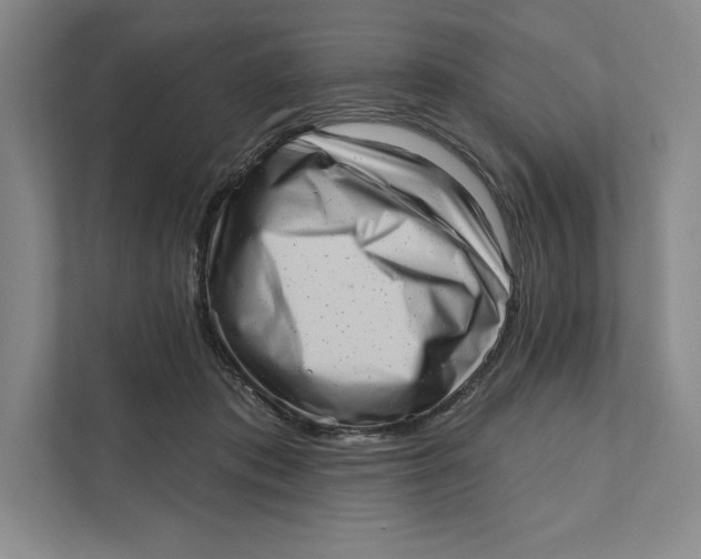 X0000111460413200908031344