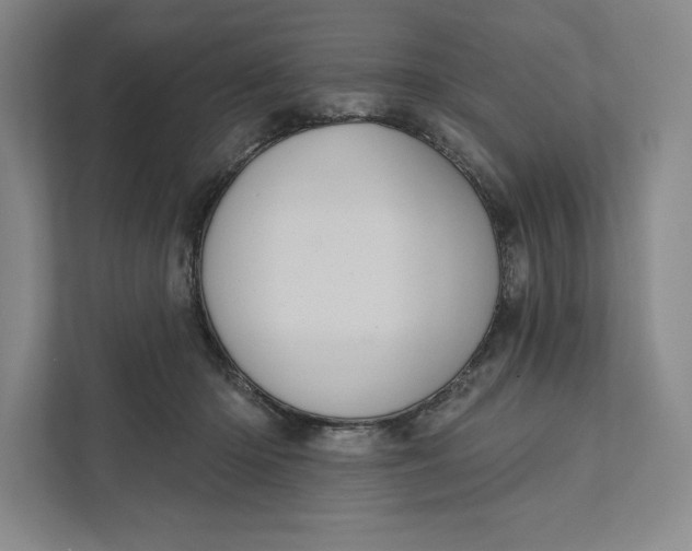 X0000111460414200908031344