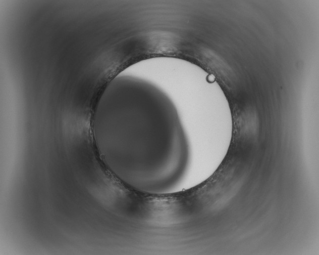 X0000111460415200908031344