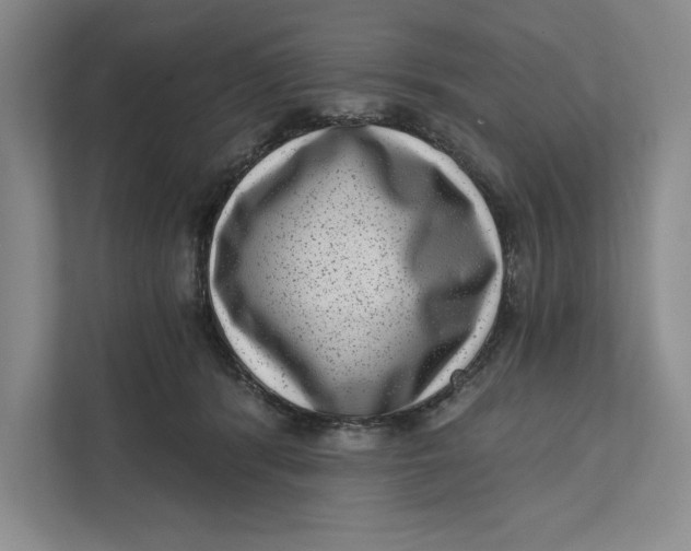 X0000111460416200908031343