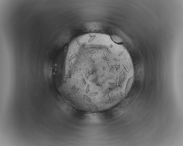 X0000111460417200908031343
