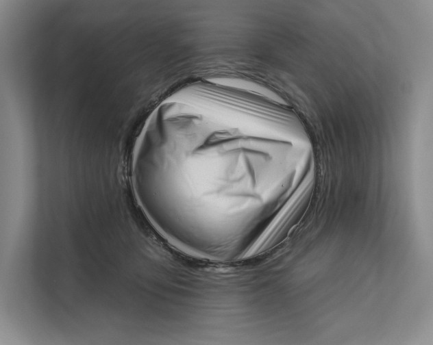 X0000111460419200908031343