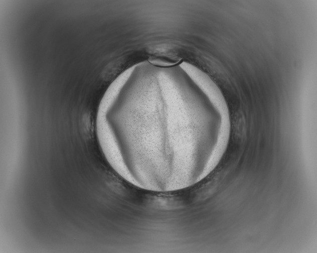 X0000111460420200908031343