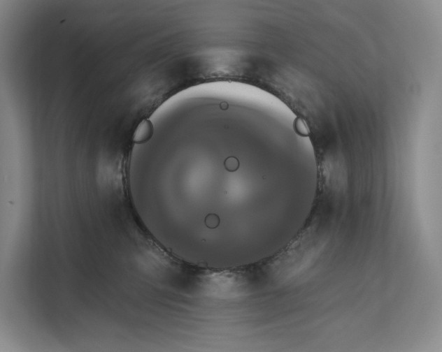 X0000111460423200908031343