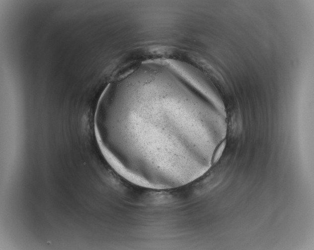 X0000111460424200908031343
