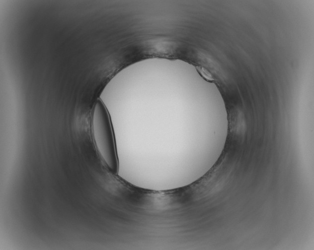 X0000111460425200908031343