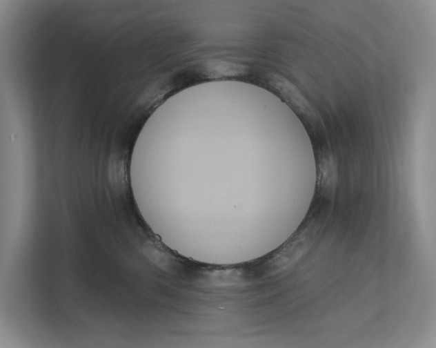 X0000111460426200908031343