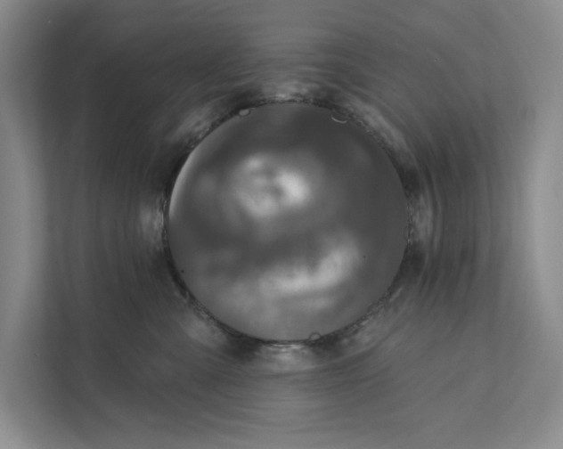 X0000111460427200908031343