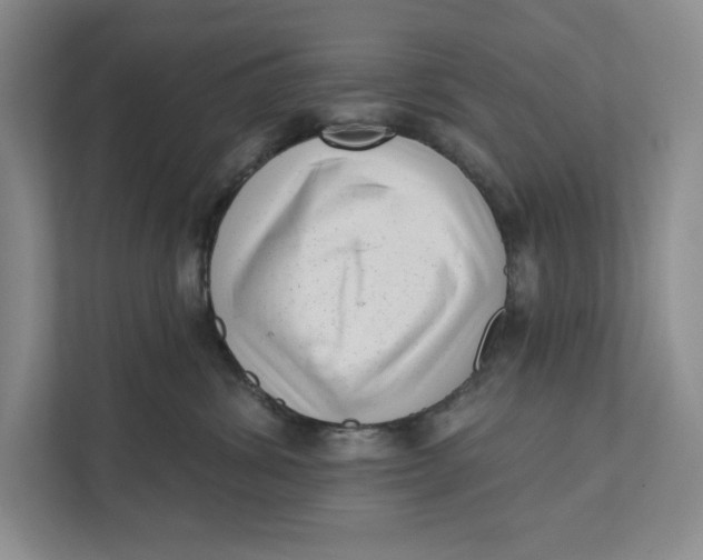 X0000111460428200908031343