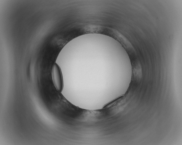 X0000111460429200908031343