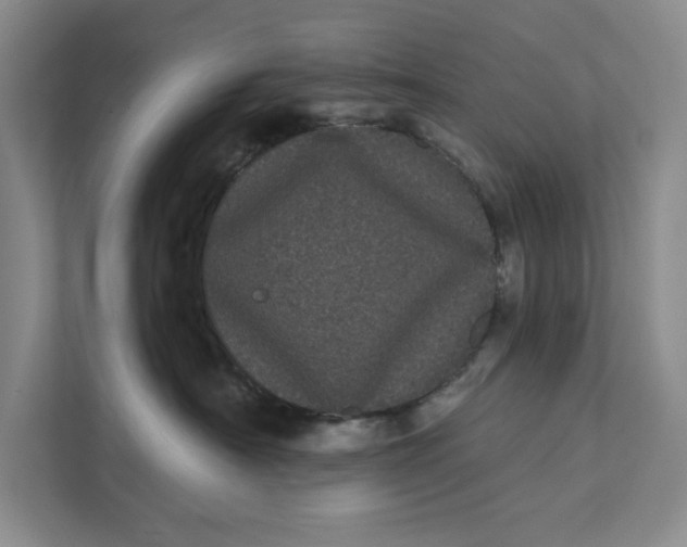 X0000111460430200908031343