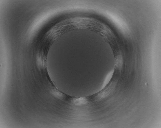 X0000111460431200908031343