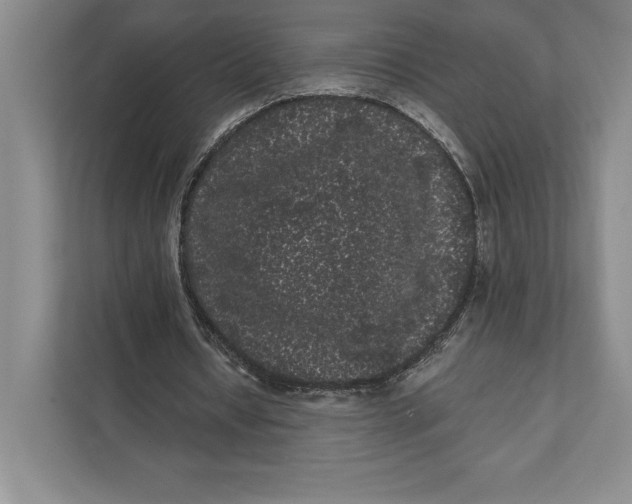 X0000111460434200908031343