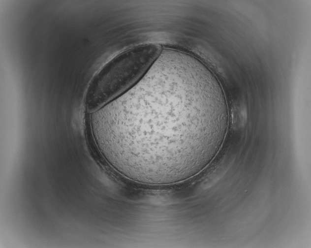 X0000111460436200908031343