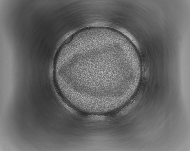 X0000111460437200908031343