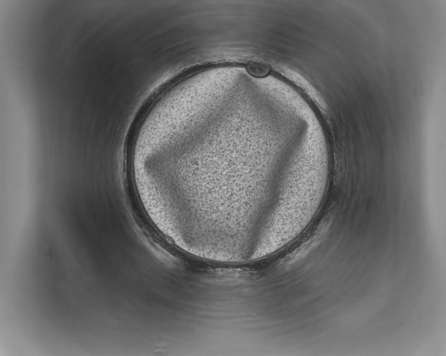 X0000111460439200908031343