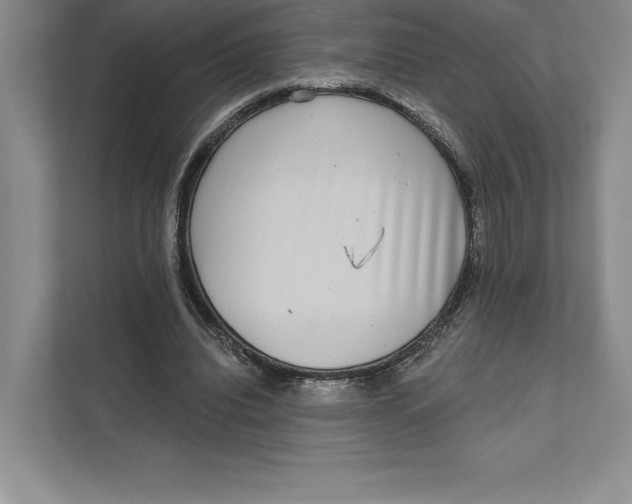 X0000111460440200908031343