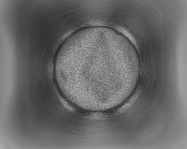X0000111460441200908031343
