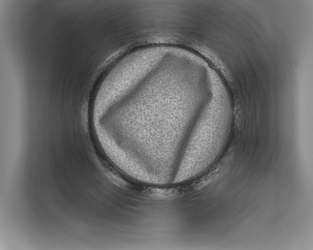 X0000111460442200908031343