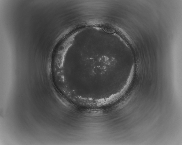 X0000111460443200908031343