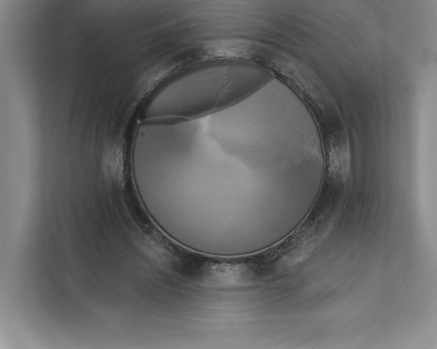 X0000111460444200908031343