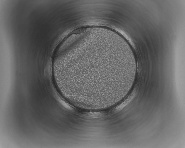 X0000111460445200908031343