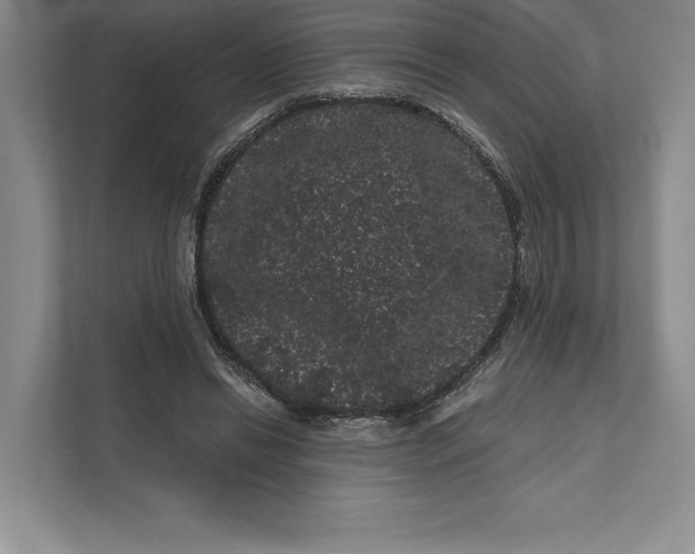 X0000111460446200908031343