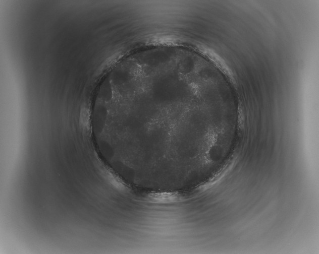 X0000111460449200908031343