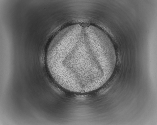 X0000111460450200908031343