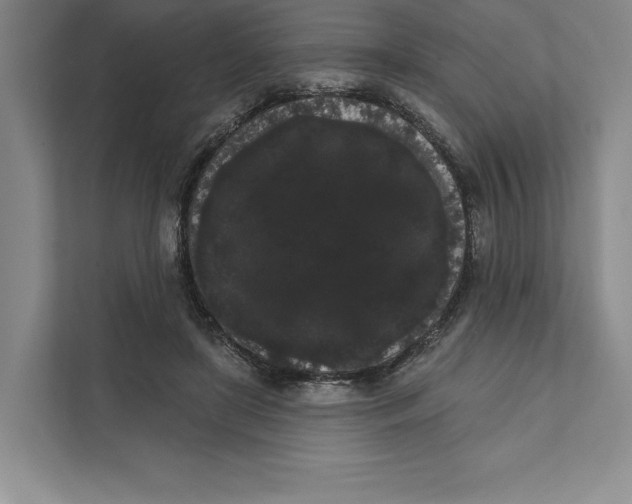 X0000111460451200908031343