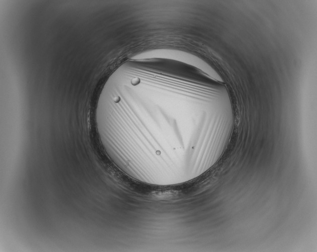 X0000111460452200908031343