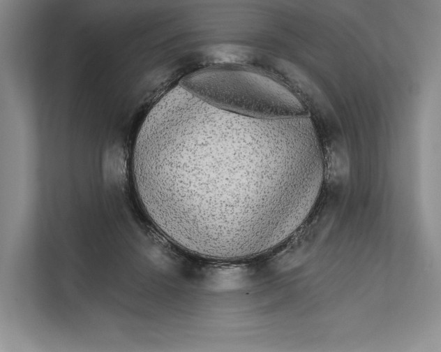 X0000111460456200908031343
