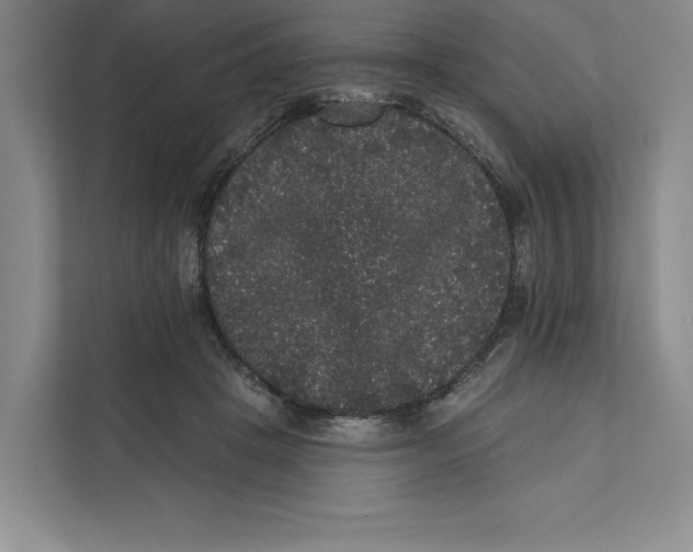 X0000111460457200908031343