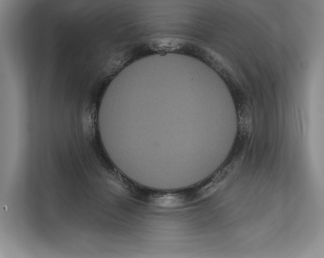 X0000111460460200908031343