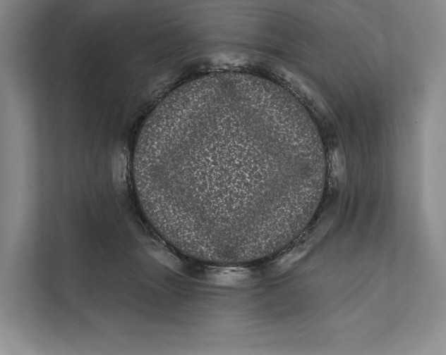 X0000111460463200908031343