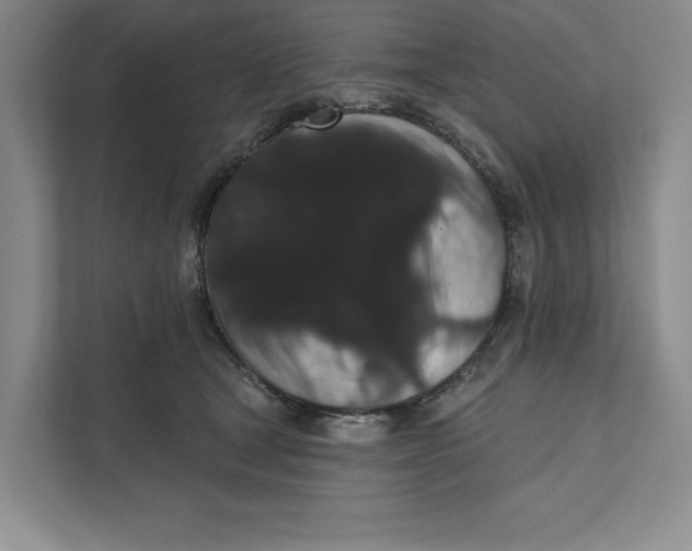 X0000111460465200908031343