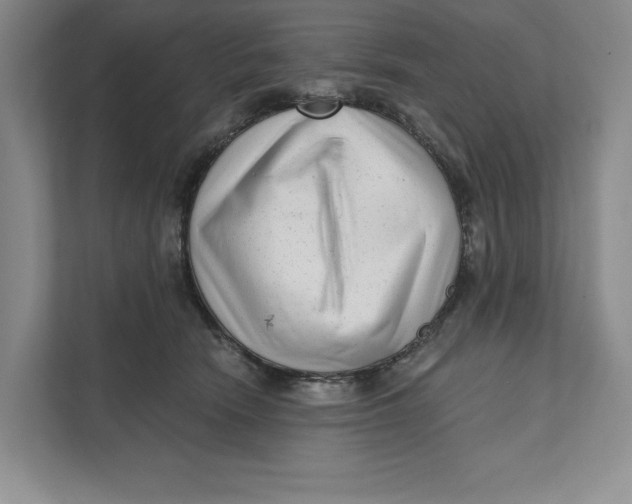 X0000111460466200908031343