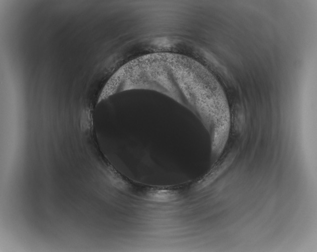 X0000111460467200908031343