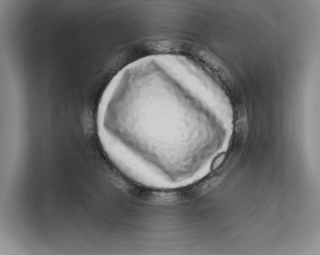 X0000111460469200908031343