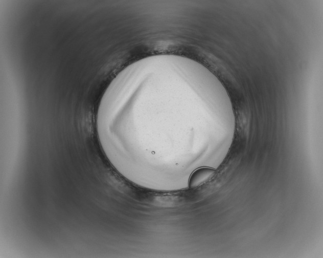 X0000111460470200908031343