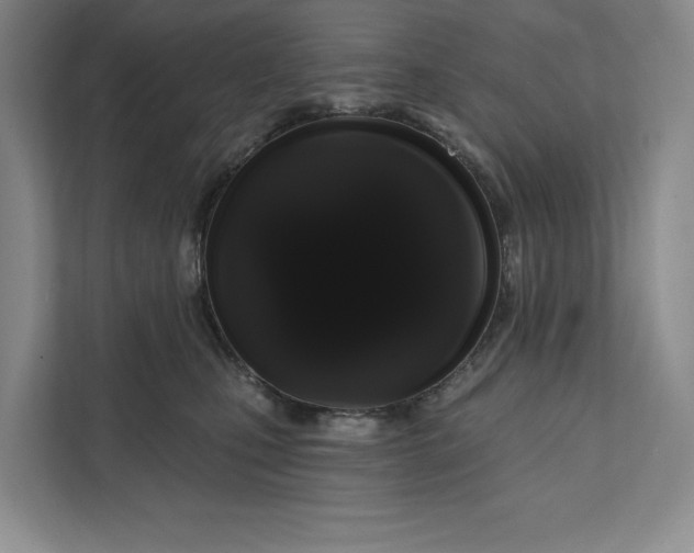 X0000111460471200908031343